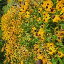 반여2동-7 이미지