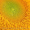 울산광역시청소년상담복지센터 이미지