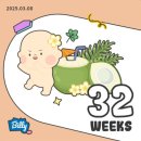 (주)서린시스템 | 31주 ~ 35주 임신일기 (삼척으로 태교여행)