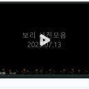 아리아펫 이미지