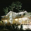 강여울 숲 이미지