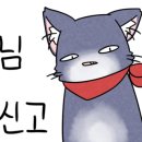 고래고래 코인노래연습장 이미지