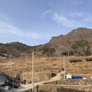 남해 | 쏠비치 남해 조식 뷔페 후기