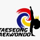 태성태권도 이미지