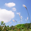 산들바람 이미지