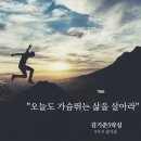 화성제일약국 네이버블로그