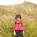 화왕산약국 이미지