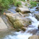 동정동008 이미지