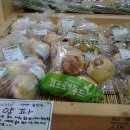 김천수농장 이미지