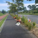 도청대로(서) 네이버블로그