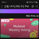 🟢🟢 뮤빗 🟢🟢 주간투표 5월1주차 투표마감 완료＜수정＞ 이미지