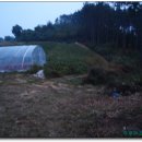 슬치주유소 이미지