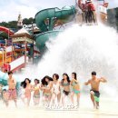 선월드코리아 이미지