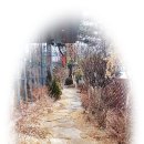 오솔길커피숍