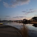 세종호수공원 산책로 이미지