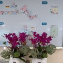 푸른꽃방 이미지