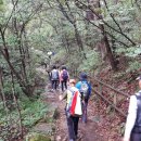 얼음골생태길 이미지