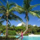 이지숙헤어 | [부산출발] 세부 샹그릴라에서 보내는 3박5일의 완벽한 휴식