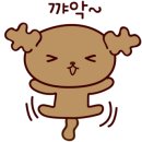 프리티파우 이미지