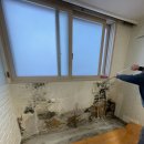 수원-0431 이미지