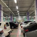 (주)호텔롯데 롯데시티호텔 김포공항 이미지