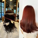 일산 웨돔미용실 클리닉 잘하는곳 [아이디헤어 웨스턴2호점] 율 부원장님