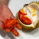 두리오