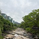 서울대학교 농업생명과학대학 | 서울대학교 농업생명과학대학 관악수목원 산책 (시범 개방 ~5/11)