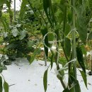 우리펜션민박 이미지