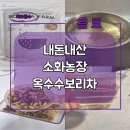 정수농장 | 국산 볶은 옥수수보리차 추천 소화농장 제품 내돈내산 후기(Sohwa Farm) 물끓이기 / 끓인물