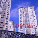 동판교대교공인중개사사무소 이미지