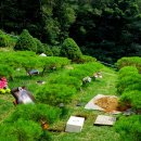 중대목장 이미지