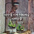 [리뷰] 다산원데이클래스 이끼상점 테라리움 이색데이트 후기