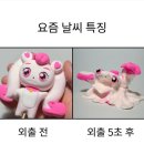 사랑해베이글내포 | ʀᴇᴄᴏʀᴅ: 271