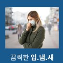 바이오덴탈 네이버블로그