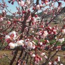 향기가득길 이미지