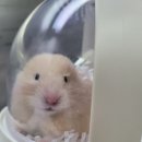 신도림동물병원 이미지