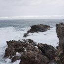 계원리두원 이미지