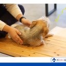 다함동물병원 이미지