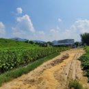 산인면사무소 이미지