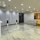 인천강아지분양 판도라독 가정분양 이미지