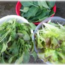 대도빌라 이미지