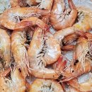 청해당구장 이미지