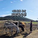 다우목장 이미지