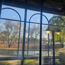 카페수련 이미지