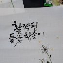 산야캘리그라피
