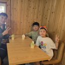 제주기억 | 제주 스타리아 렌트 후기 기억남는 제주도 가을여행