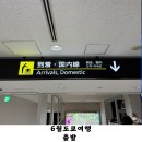 태풍이 슈퍼 | 6월 일본 도쿄여행 출발 인천공항 2터미널 대한항공/에어비앤비 숙소 후기