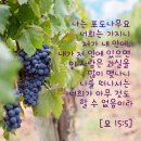 중앙성결교회 이미지