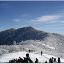 명신빌딩 앞 이미지